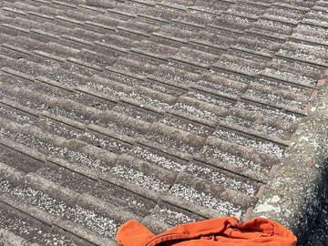 Enlèvement des mousses au balais-brosses. Secteur Dammartin, En Goële.