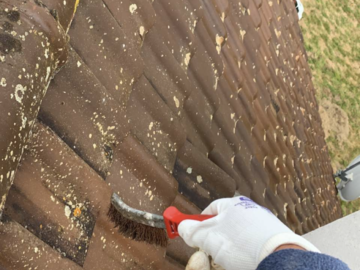 Enlèvement des mousses des faîtières à la brosse métallique suivi d’un recsellement au ciment à Saint-Etienne-La-Tillaye