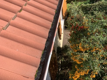 Enlèvement des mousses manuellement suivi d’un traitement de toiture secteur Champigny-sur-Marne