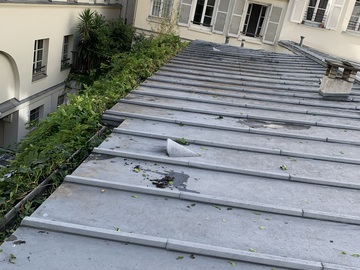 Enlèvement du lierre suivi d’un nettoyage de gouttière