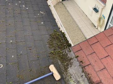 Traitement toiture enlèvement des mousses