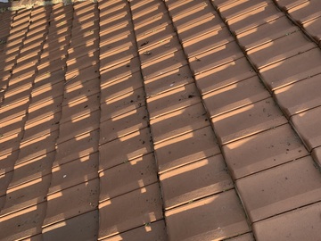 Remplacement Liteaux à Paris 19e