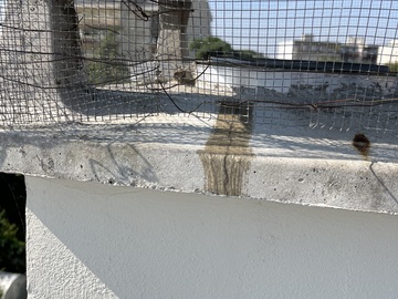 Réparation de fissures à Perreux‑sur‑Marne