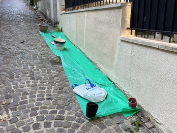 Peinture des murs aux Lilas