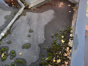 Démoussage de toiture à Meaux
