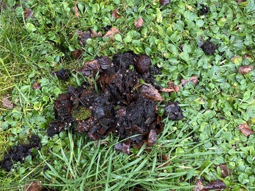 Nettoyage de gouttière à Vaires-sur-Marne