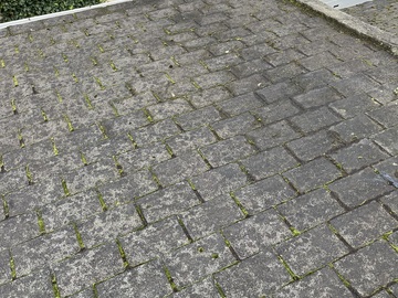 Démoussage de toiture à Paris